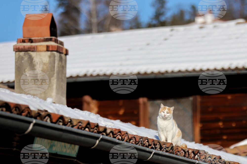 Копривщица - зима