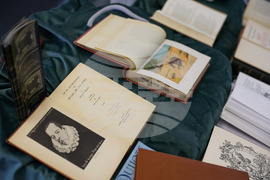 Благоевград - Американски университет - Дон Кихот - изложба