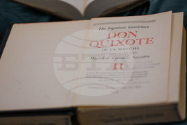 Благоевград - Американски университет - Дон Кихот - изложба