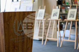 Благоевград - Американски университет - Дон Кихот - изложба