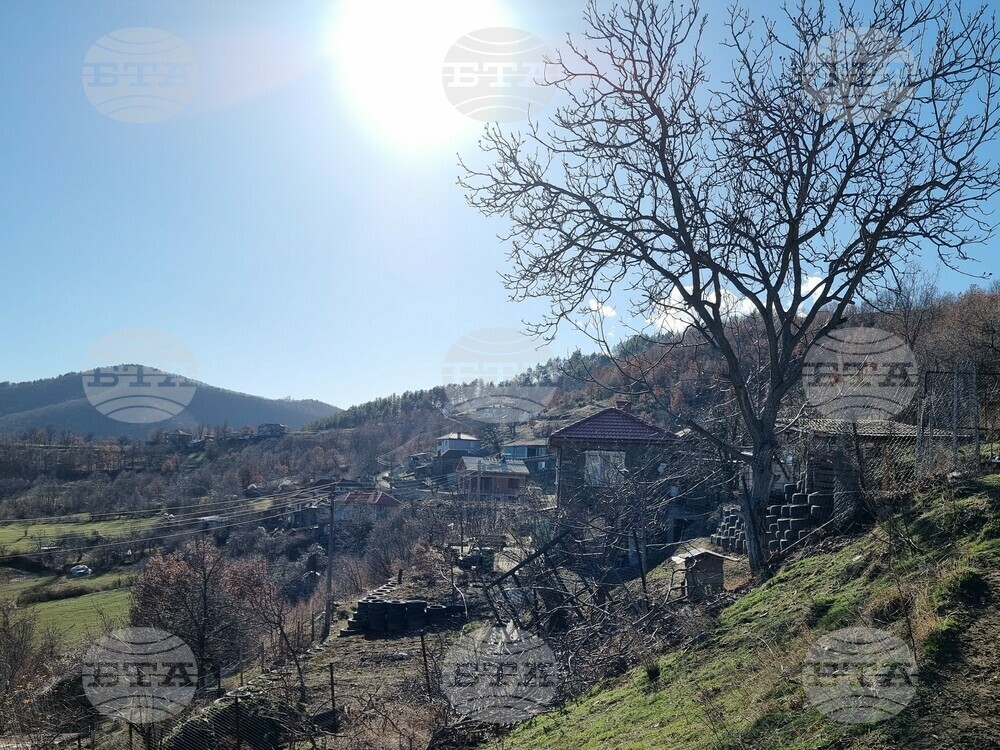 Прогноза за времето