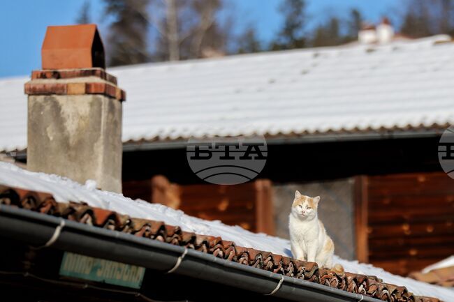 The Weather on January 15