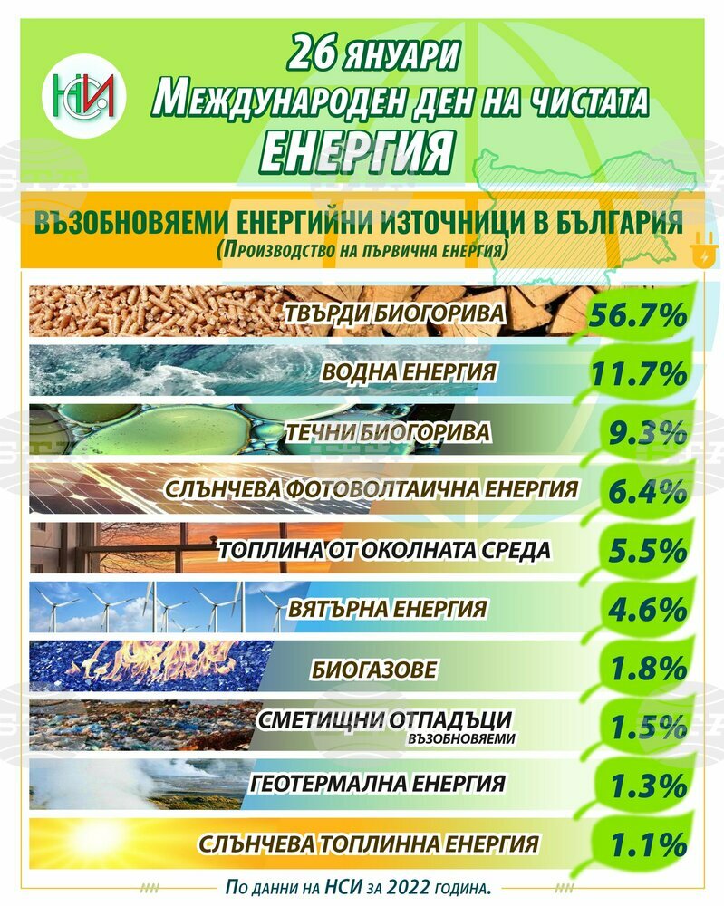 Твърдите биогорива са най-големият възобновяем енергиен източник в България, сочат данни на НСИ