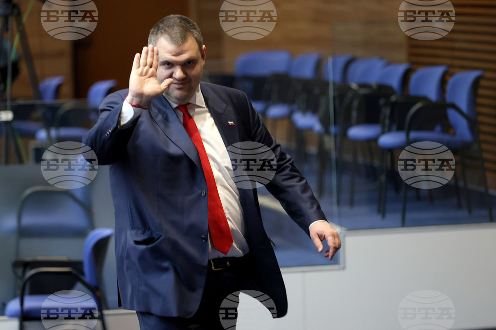 Парламентарен контрол - Делян Пеевски