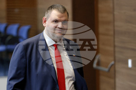 Парламентарен контрол - Делян Пеевски