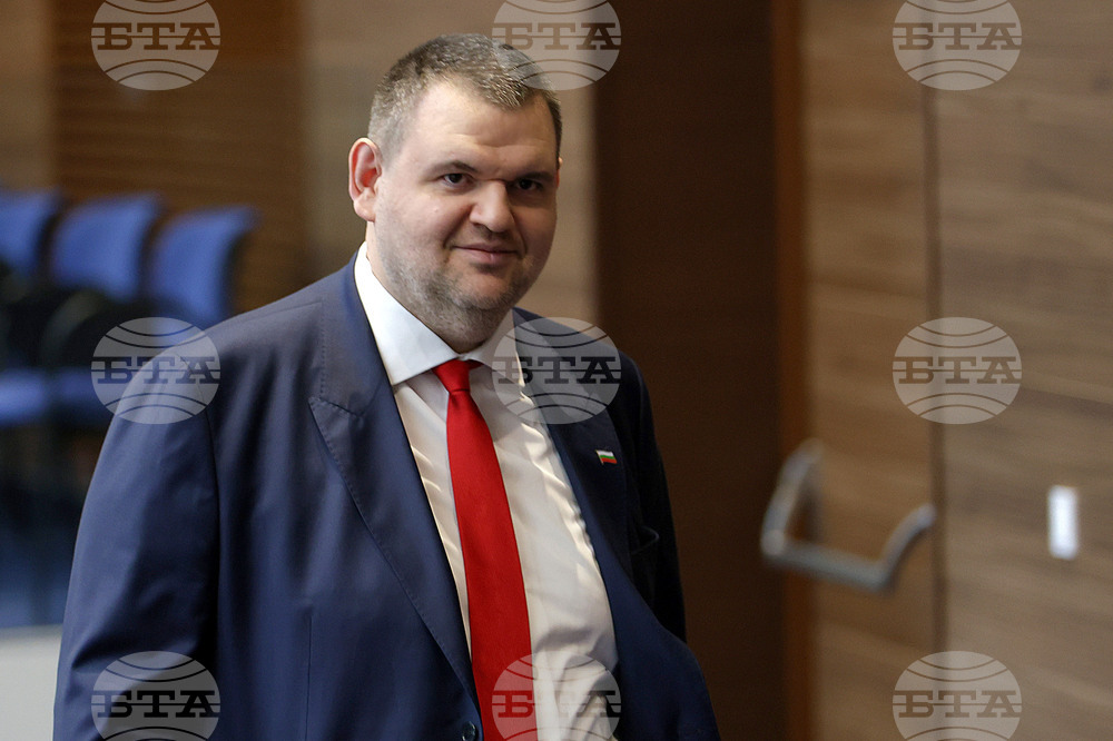 Парламентарен контрол - Делян Пеевски