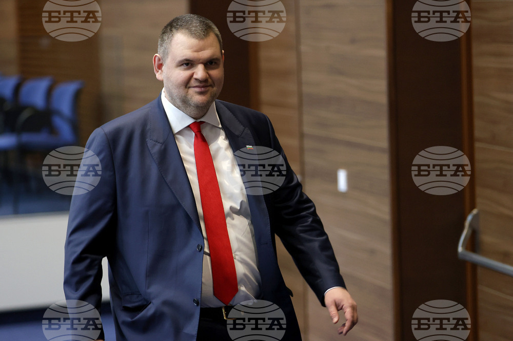 Парламентарен контрол - Делян Пеевски