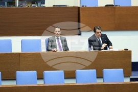 Парламентарен контрол