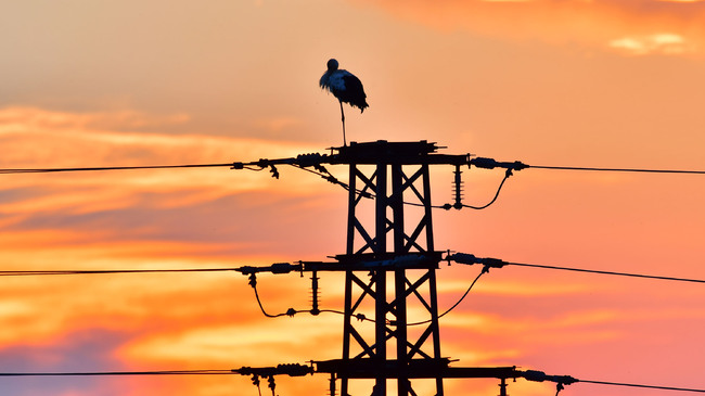 Continue the Change: Government Quietly Preparing 5%–6% Electricity Price Hike Despite Assurances to Contrary