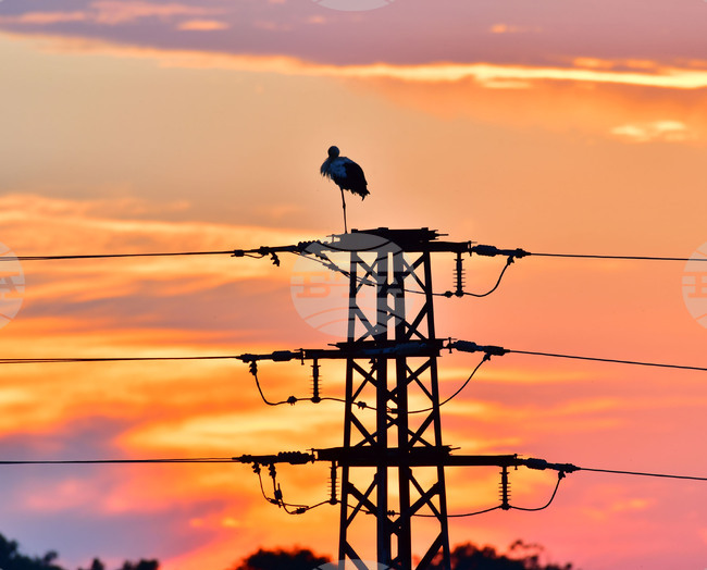 Continue the Change: Government Quietly Preparing 5%–6% Electricity Price Hike Despite Assurances to Contrary