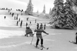 Неделна почивка в планината