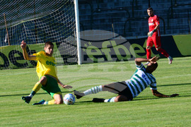 Варна - футбол - Черно море - Добруджа