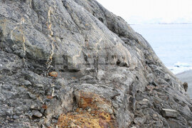 Антарктида - Национална антарктическа експедиция - полуостров Хърд - Ралица Събева