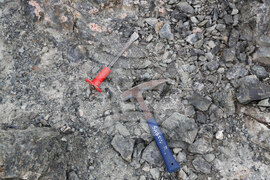 Антарктида - Национална антарктическа експедиция - полуостров Хърд - Ралица Събева