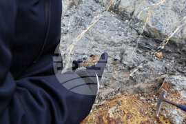 Антарктида - Национална антарктическа експедиция - полуостров Хърд - Ралица Събева