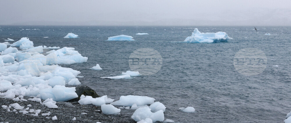 Антарктида - Национална антарктическа експедиция - полуостров Хърд - Ралица Събева