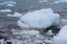 Антарктида - Национална антарктическа експедиция - полуостров Хърд - Ралица Събева
