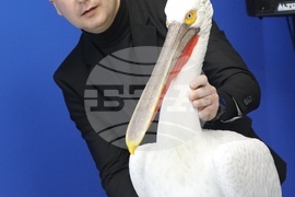 Successful EU-funded Projects Discussed at BTA-hosted Conference in Silistra