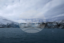Natural History Museum to Add Eight Species of Fish from Livingston Island to Its Collection