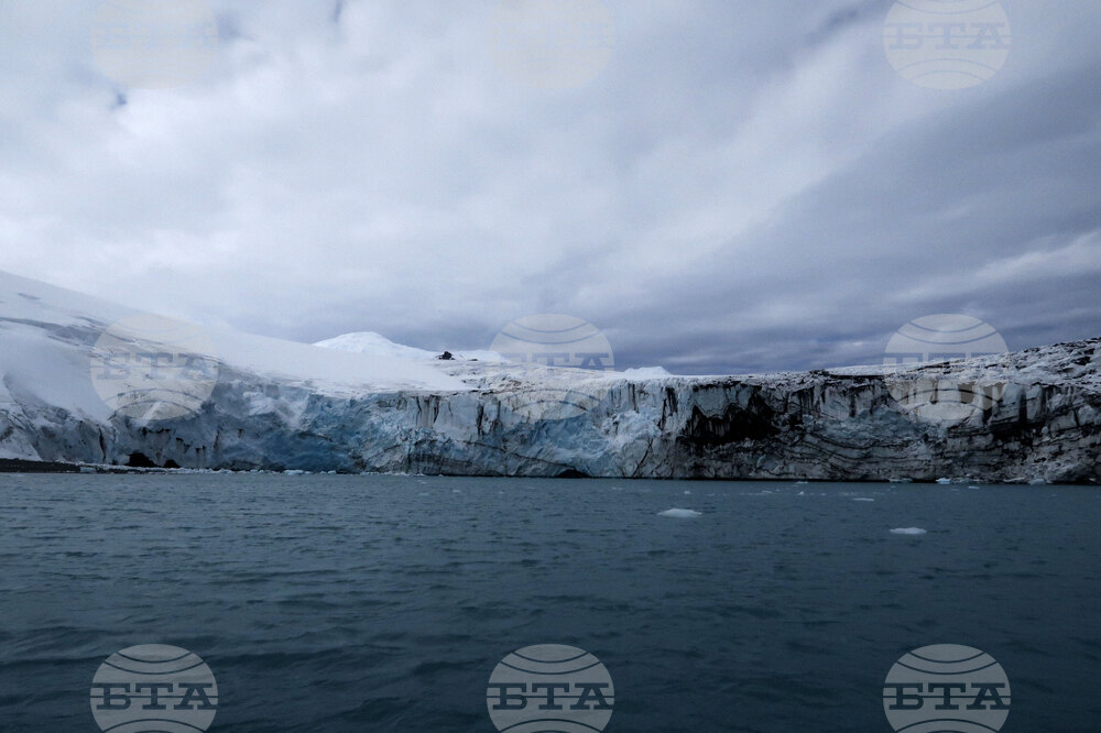 Natural History Museum to Add Eight Species of Fish from Livingston Island to Its Collection