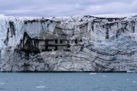 Natural History Museum to Add Eight Species of Fish from Livingston Island to Its Collection