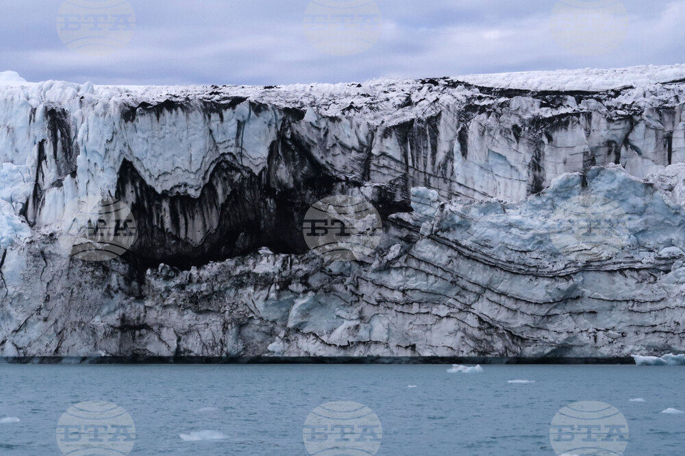 Natural History Museum to Add Eight Species of Fish from Livingston Island to Its Collection