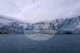 Natural History Museum to Add Eight Species of Fish from Livingston Island to Its Collection