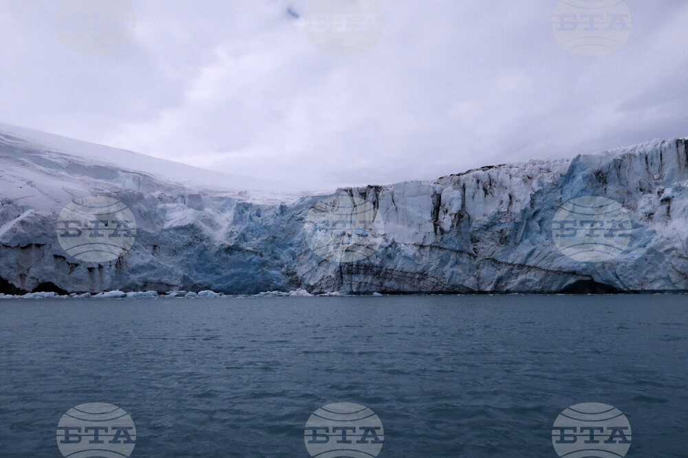 Natural History Museum to Add Eight Species of Fish from Livingston Island to Its Collection