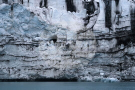 Natural History Museum to Add Eight Species of Fish from Livingston Island to Its Collection