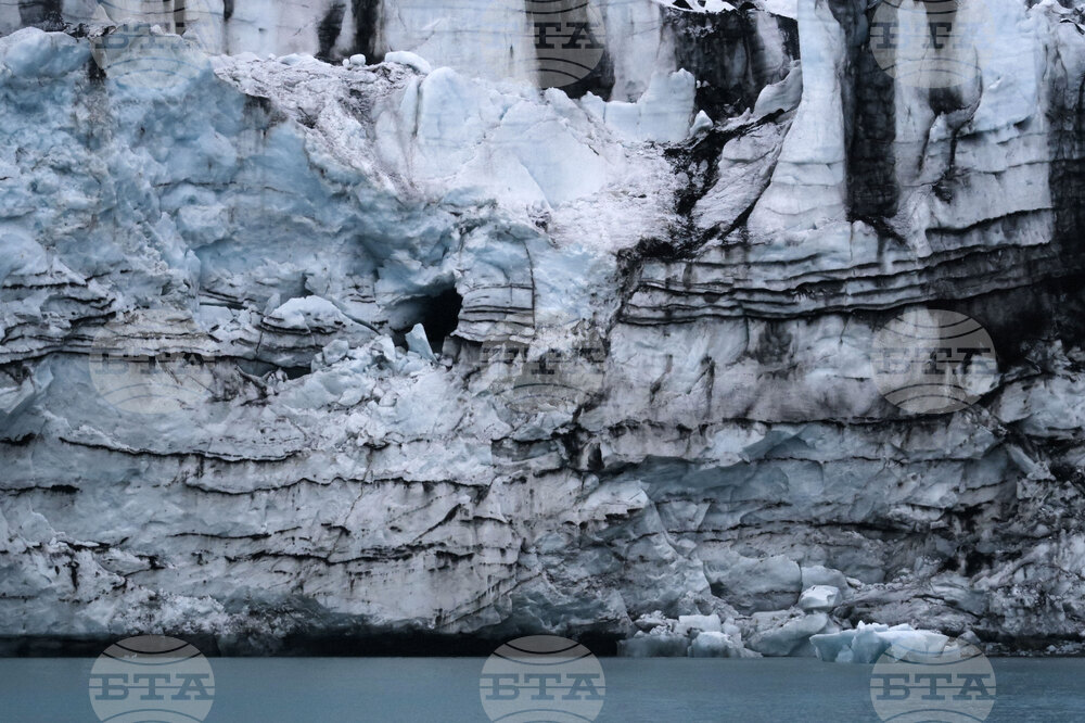 Natural History Museum to Add Eight Species of Fish from Livingston Island to Its Collection