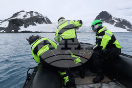 Natural History Museum to Add Eight Species of Fish from Livingston Island to Its Collection