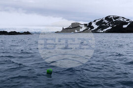 Natural History Museum to Add Eight Species of Fish from Livingston Island to Its Collection