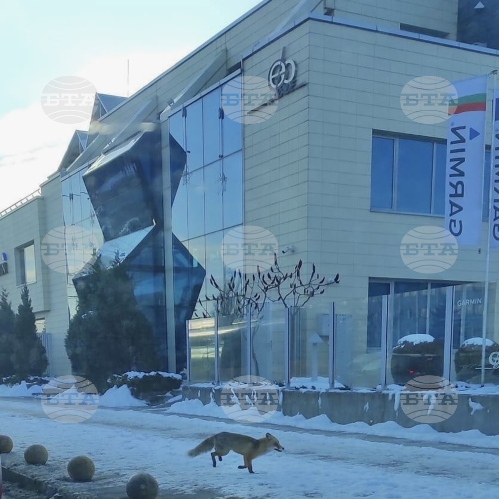 Fox Visits Sofia’s Slatina District