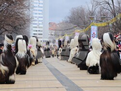 Снимка: Община Банско