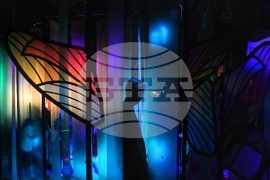 Джаз фестивал