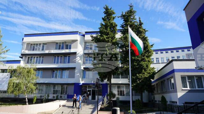 Трима са задържани заради побой над куче в Пазарджик, съобщиха от полицията