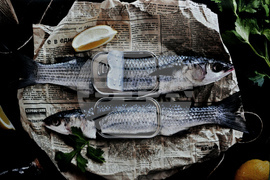 Бургас - Международен фотосалон - представяне