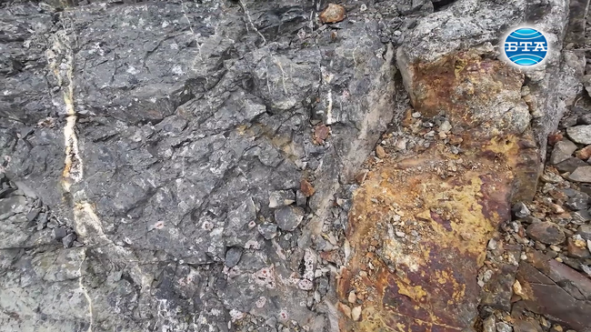 Установихме два типа злато на Антарктида, каза геологът гл. ас. д-р Ралица Събева