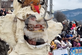 Перник - Международен фестивал на маскарадните игри „Сурва“