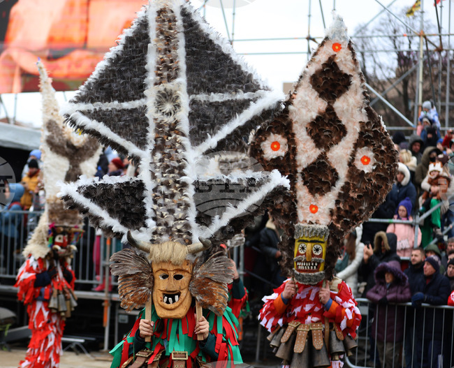 Сурвакарските групи от пернишките села се събират днес на празника местна Сурва, наричан още Сурова