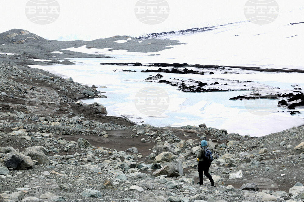 Bulgarian Researchers Find Two Types of Gold in Antarctica