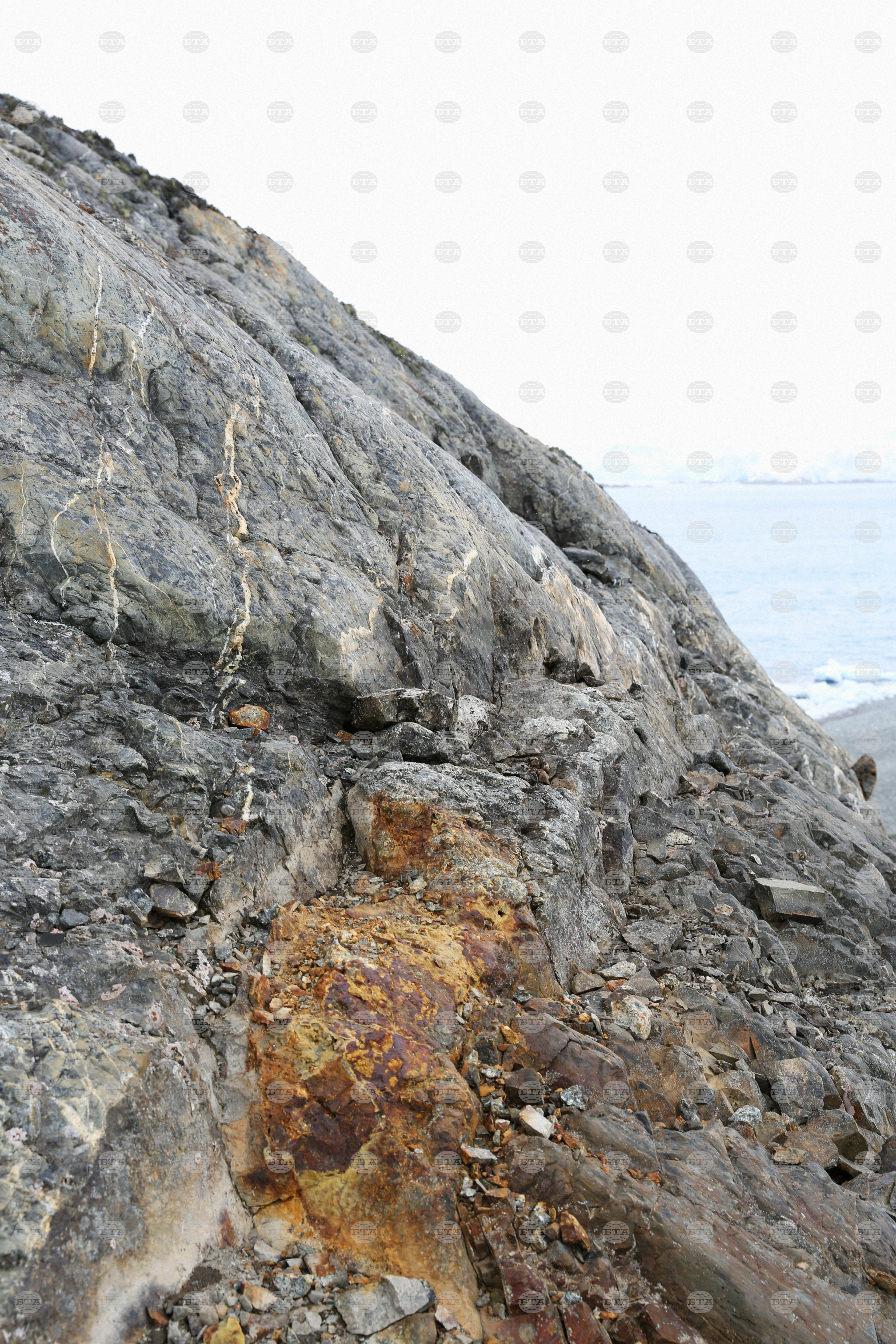 Bulgarian Researchers Find Two Types of Gold in Antarctica