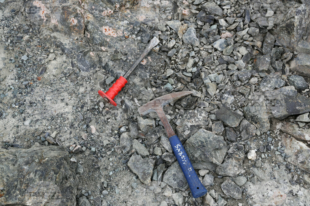 Bulgarian Researchers Find Two Types of Gold in Antarctica