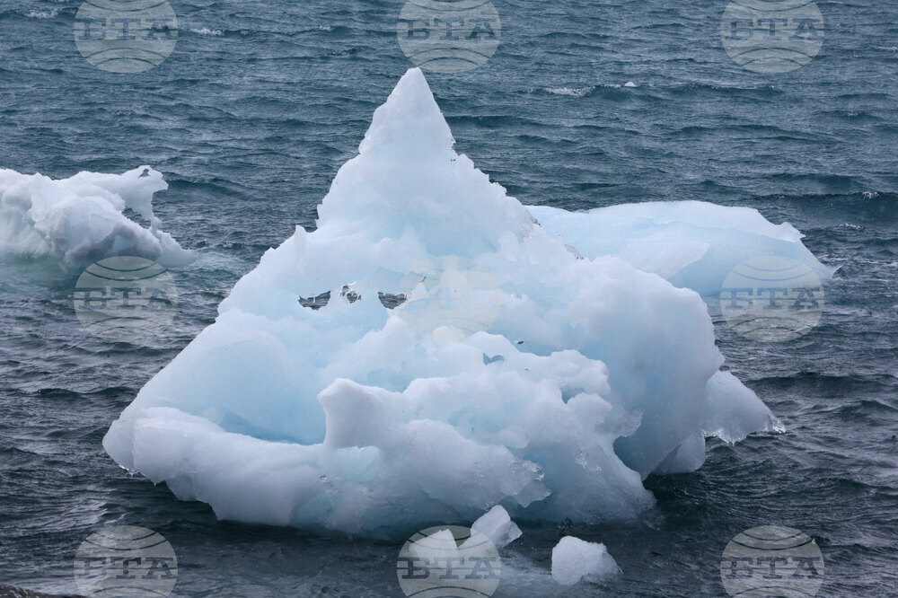 Bulgarian Researchers Find Two Types of Gold in Antarctica