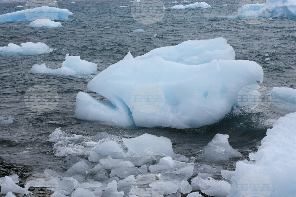 Bulgarian Researchers Find Two Types of Gold in Antarctica