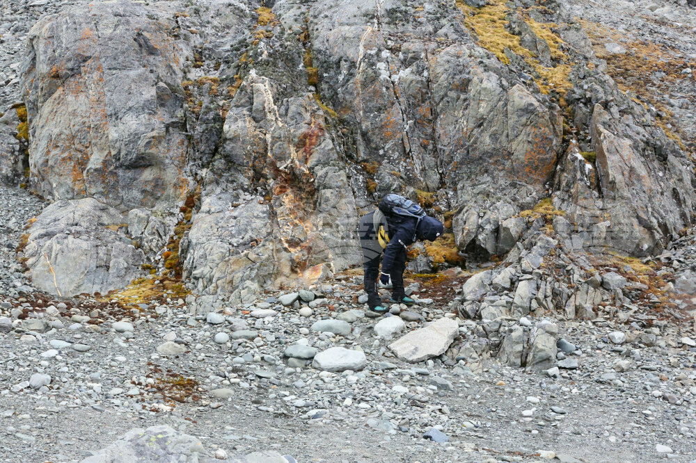 Bulgarian Researchers Find Two Types of Gold in Antarctica