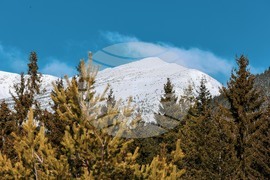 Семково - Зимен празник "Белица-Семково" 2024