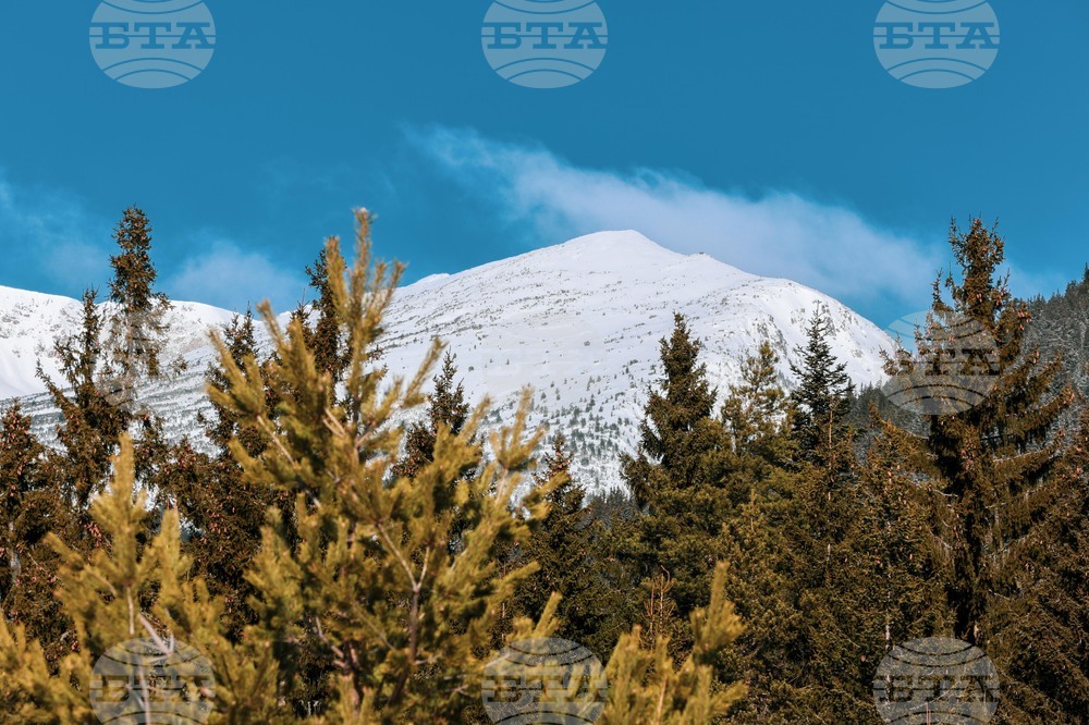 Семково - Зимен празник "Белица-Семково" 2024