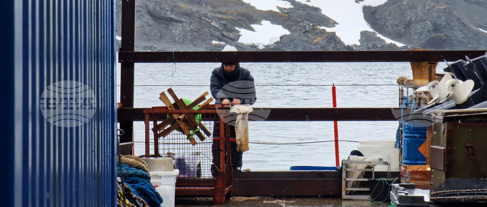 Национална антарктическа експедиция - Остров Ливингстън - Военен научноизследователски кораб „Св. Св. Кирил и Методий“ - НИК 421