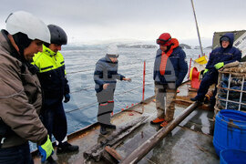 Национална антарктическа експедиция - Остров Ливингстън - Военен научноизследователски кораб „Св. Св. Кирил и Методий“ - НИК 421